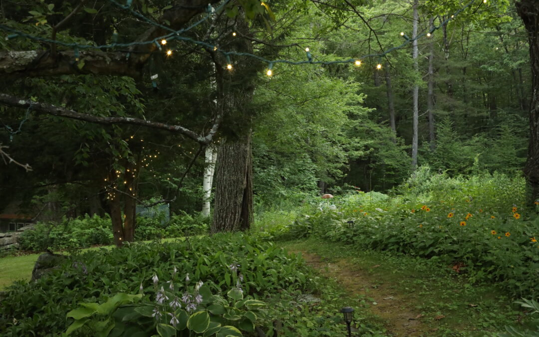 Recreation Trails